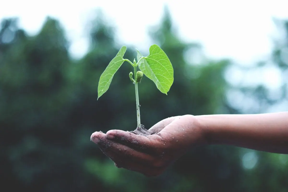 Reporting di sostenibilità ESG e CSRD: cosa cambia
